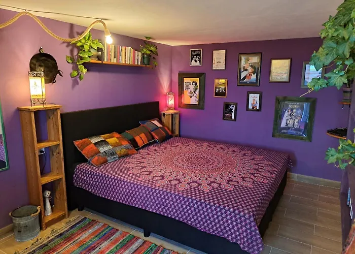 Old House 乡村民宿 蓬塔杜帕戈