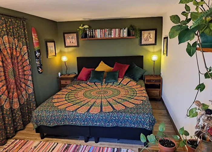 Old House 乡村民宿 *